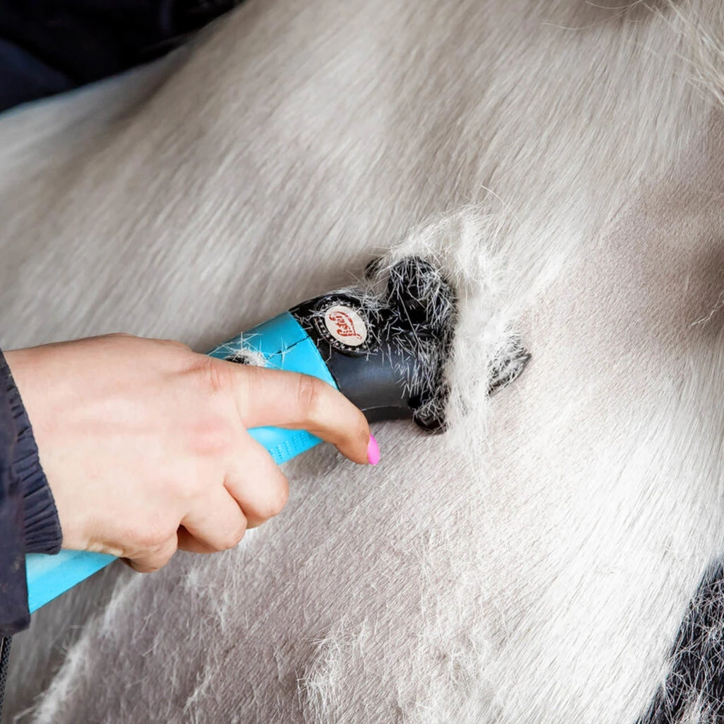 Lister Star Clipper – Turquoise 6 Lister Star Clipper – Turquoise - Image 4