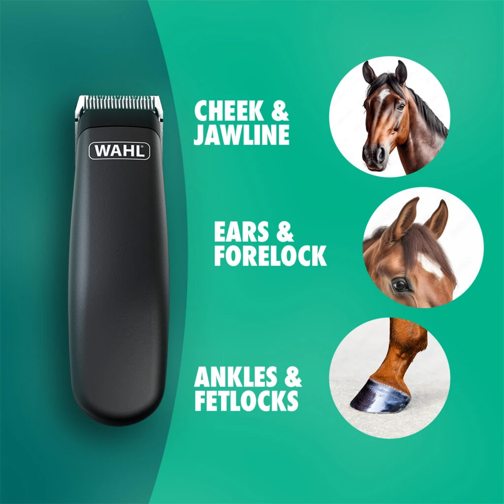 Premium Horse Grooming Bundle 4 Premium Horse Grooming Bundle - Image 2