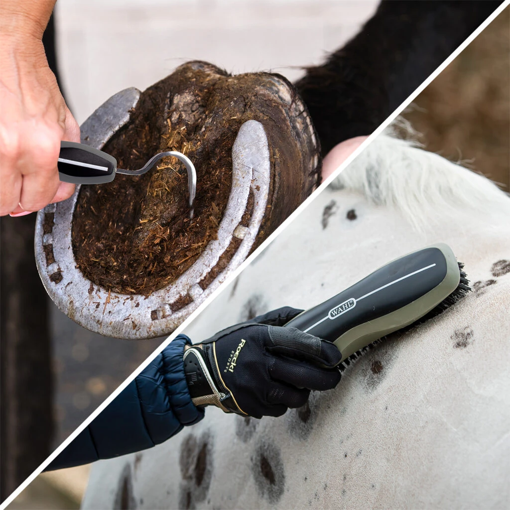 Premium Horse Grooming Bundle 6 Premium Horse Grooming Bundle - Image 4