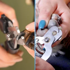 Dog – Cat Nail Clippers 11 Dog – Cat Nail Clippers -By Anna hair studio 58404 002 Nail Clipper Orange Image 6 1024x1024 1