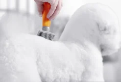 Small Nylon Slicker Brush -By Anna hair studio 58471 002 Small Nylon Slicker Brush High 1024x691 1