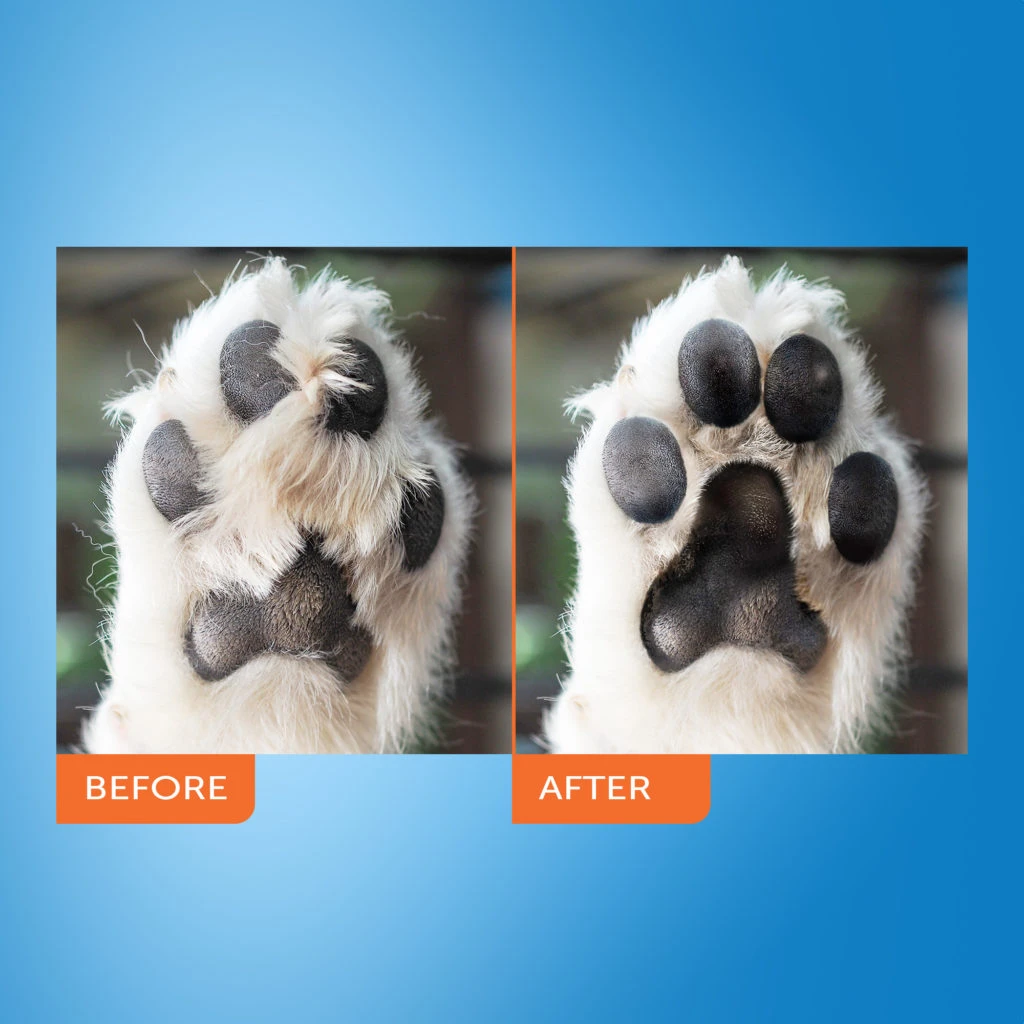 Paw Tidy Battery Operated Trimmer 5 Paw Tidy Battery Operated Trimmer - Image 3