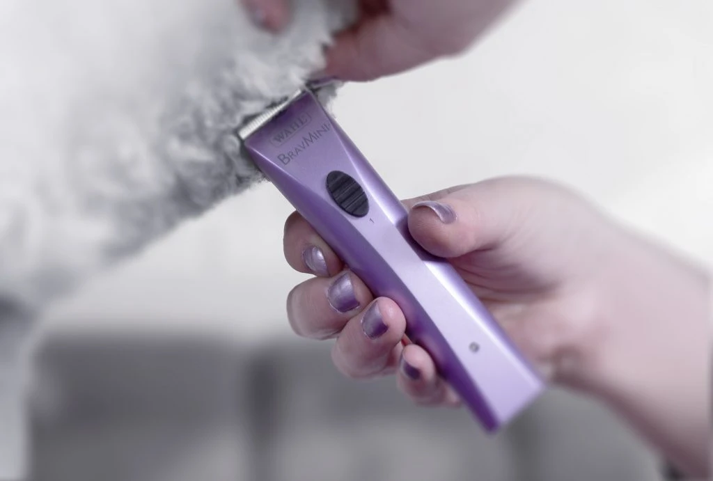 Bravmini Rechargeable Battery Animal Trimmer 4 Bravmini Rechargeable Battery Animal Trimmer - Image 2