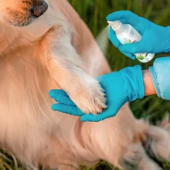 Pretty Paw Protection Spray -By Anna hair studio ZY123 Paw Protection Spray Low JPG Image 3 Amazon 1024x1024 1