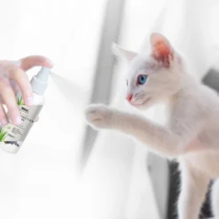 Pretty Paw Protection Spray -By Anna hair studio ZY123 Paw Protection Spray Low JPG Image 4 Amazon 1024x1024 1