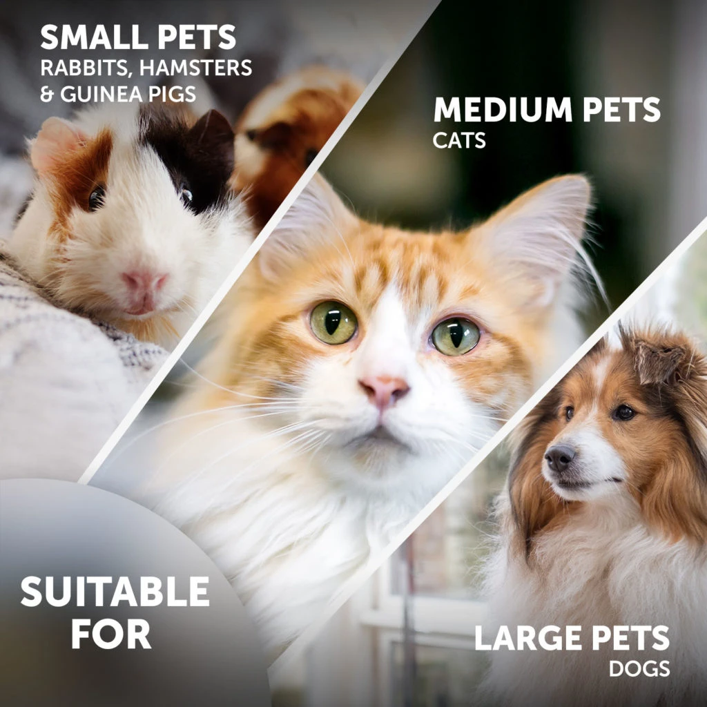 Electric Nail Grinder 5 Electric Nail Grinder - Image 3