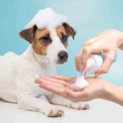 No Rinse Foam Pet Shampoo 200ml X 2 (Twin Pack) -By Anna hair studio wahl grooming shampoo no rinse ZY111 800 lifestyle web 1024x1024 2